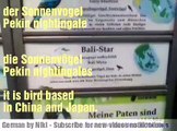 Some birds names  in German and English Language, Learn German Language