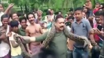 India python- Snake tries to strangle West Bengal selfie taker - BBC News