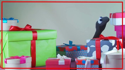 ABC Learning for Kids | Unboxing Letters of the Alphabet! | Learning the Alphabet | BabyFi