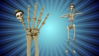 3D Funny Skeletons Finger Family Rhyme | 3D Daddy Finger Song | Animated Nursery Rhyme for
