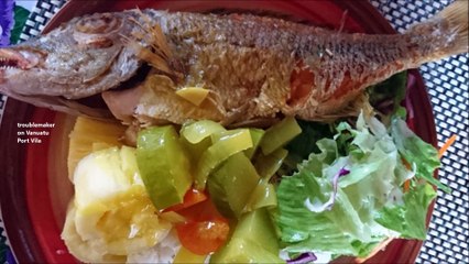 Port Vila, Vanuatu, Sky by DJI, under water by GoPro and on the back of a truck #2