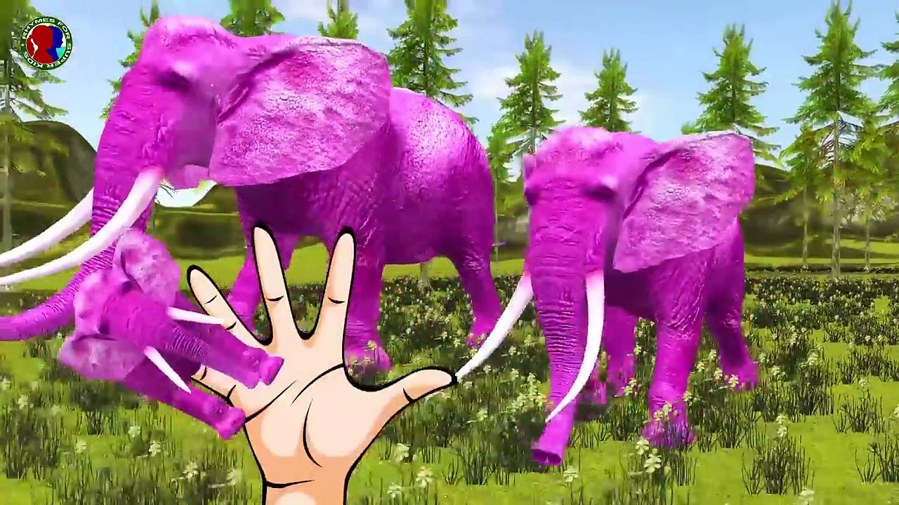Wild Animals Finger Family Rhymes For Kids || Elephant Gorilla Zebra Songs for Childrens