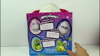 Hatchimals Draggles Blue/Green Egg Hatching Unboxing Toy Review Vlog