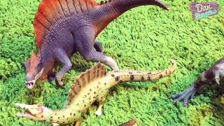 DINOSAUR BATTLE CHAMPIONSHIP! Dinosaur Toys Fight T Rex, Spinosaurus, Triceratops & Pteran