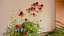 Triple H - 미니2집 타이틀곡 RETRO FUTURE 뮤직비디오 비하인드 part2