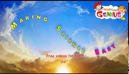 Seven 7 Continents Interesting Fs for Kids