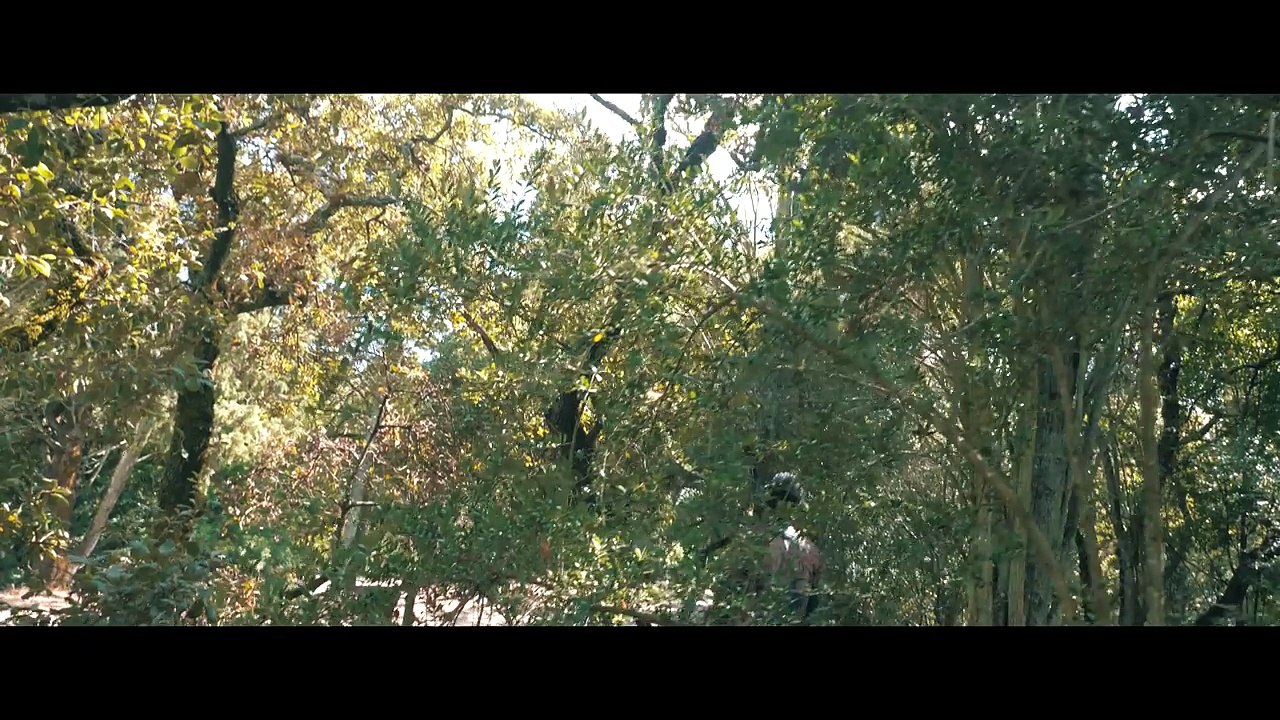 Dynamo - Enquanto N'Respira | Official Video