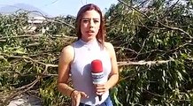 La periodista  LinaresTCS nos presenta los detalles de los estragos causados por las fuertes lluvias de las últimas horas en el Instituto Técnico Ricaldone de S