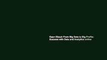 Open Ebook From Big Data to Big Profits: Success with Data and Analytics online