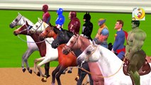 Horse Racing Videos: Ironman Captain America Hulk Spiderman Horse Race | Cartoons for Chil