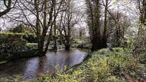 Bruit blanc naturel pour se détendre, se calmer, dormir, se concentrer, étudier, la pluie qui tombe, le tonnerre, le vent, la cascade, le débit de la rivière, des douches, une haute qualité sonore - 15 min