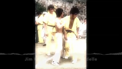 Jim Kelly, alla fine, rivela il vero proposito di Bruce Lee della capacità di fare arti marziali