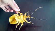 Origami Insects and bugs