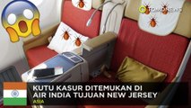 Air India New Jersey dipenuhi dengan kutu kasur - TomoNews