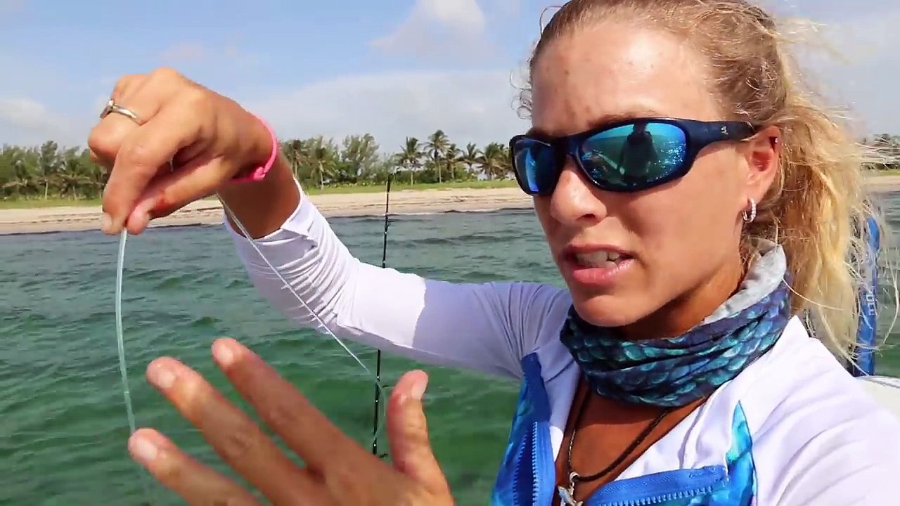 Searching for EDIBLE SHARKS By Public Beaches!