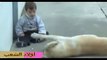 Dog and mentally handicapped child wonderful Vidéo will regret if you do not see