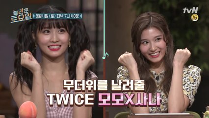 [예고] 모모 파 vs 사나 파 투표해요 투표