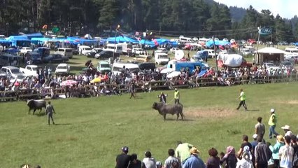 Asırlık Festival Renkli Görüntülere Sahne Oldu