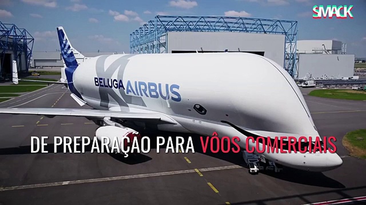 Já conhece o avião baleia?