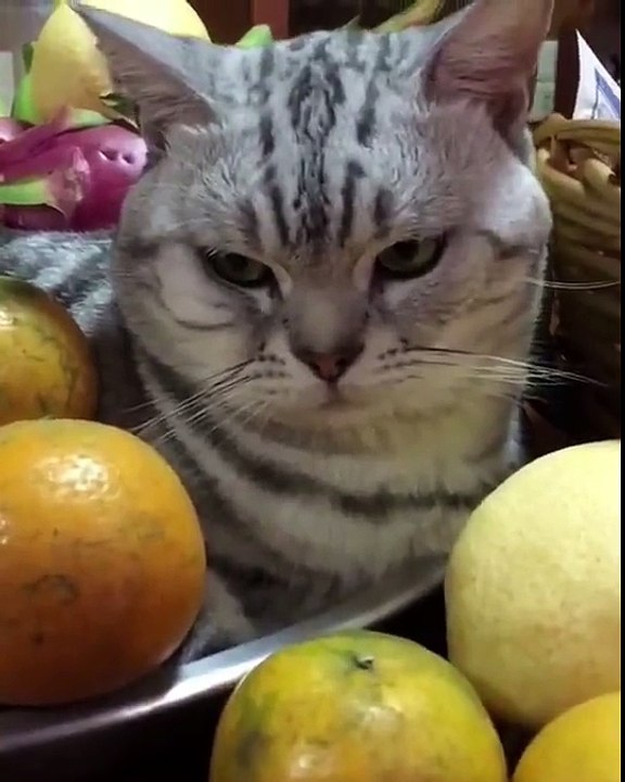 When you make an error and are not forgiven