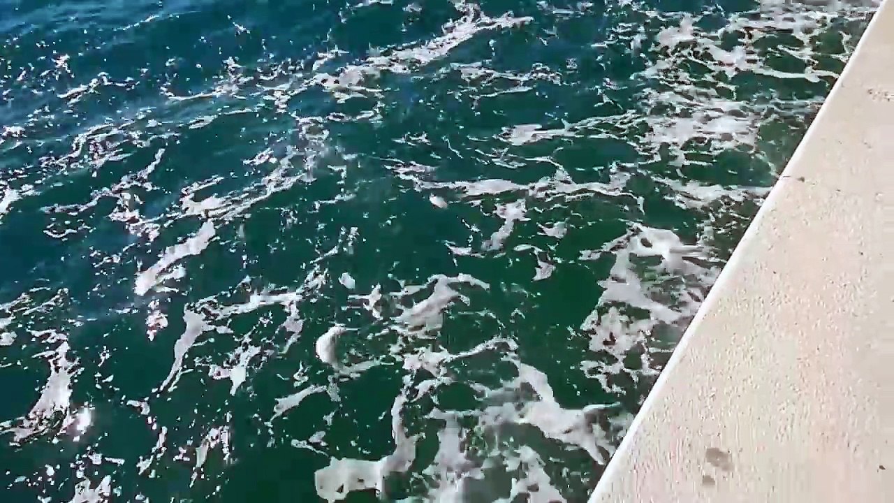 Sea Organ (Morske Orgulje) and the Adriatic Sea in Zadar  Croatia