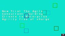 New Trial The Agile Consultant: Guiding Clients to Enterprise Agility free of charge