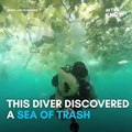This ‘sea of trash’ in Bali is a horrifying reminder of ocean pollution