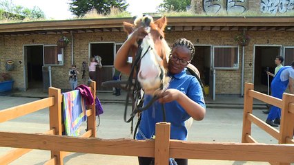 South London horse club gives local children a safe haven