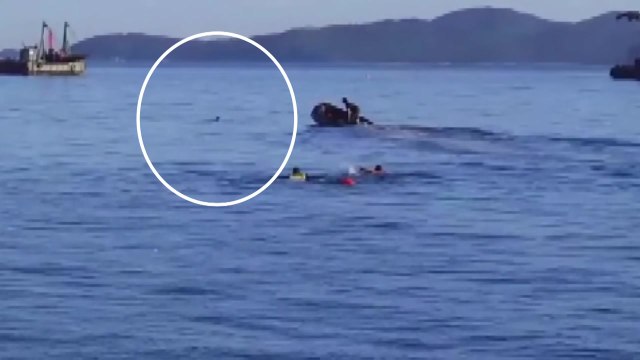 해경, 바다에 뛰어든 50대 만취 남성 구조 / YTN