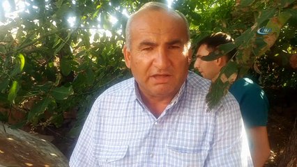 Ölüme terk edilen köpek yavrularına gözü gibi bakıyorlar
