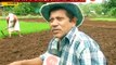 Peekpani | Ratnagiri | Farmers Doing Rice Farming After Good Rain