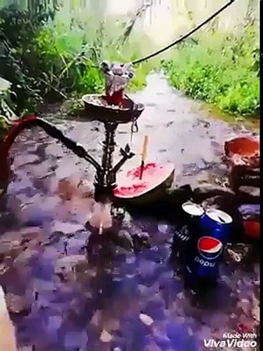 احلا قعدة واحلا جو مين صاحبك الحقيقي يلي بتتمنى تقعد معو هيك قعدة رواق؟