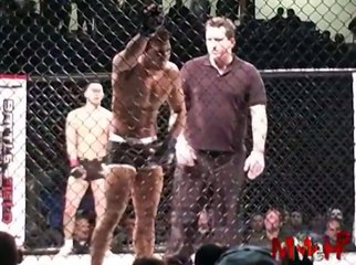 Capoeira Fight - Best Crazy Capoeira in MMA