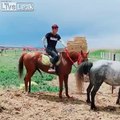 Always expect the unexpected when riding a horse