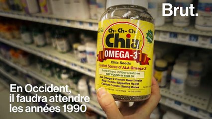 La graine de chia… Toute petite mais pleine de vertus