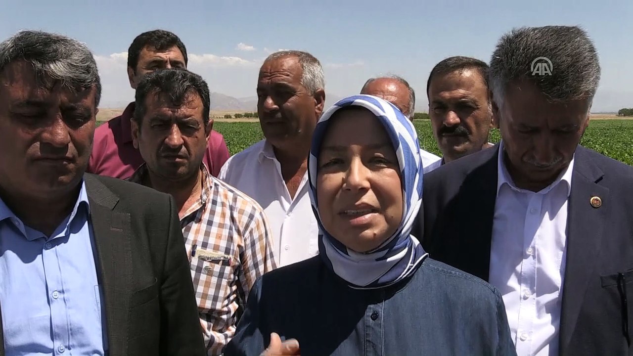 Çalık: 'Bizde koltuk sevdası değil, millet sevdası var' - MALATYA