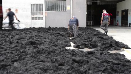 Uşak Arap Krallarının Kıl Çadırı Uşak'ta Dokunuyor