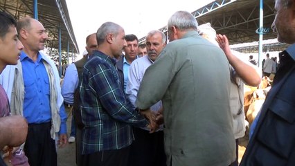 Siverek’te kurbanlıklar pazara indi