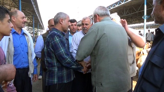 Siverek’te kurbanlıklar pazara indi