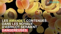 Les amandes dans les abricots exposent à des risques d'intoxication au cyanure