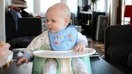 Uriah the Great Eats Yogurt for the First Time