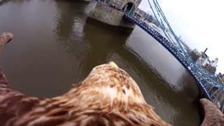 Eagle video reveals stunning views of London from above BBC News