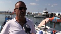 Batı Karadenizli balıkçılar yeni sezondan umutlu - DÜZCE