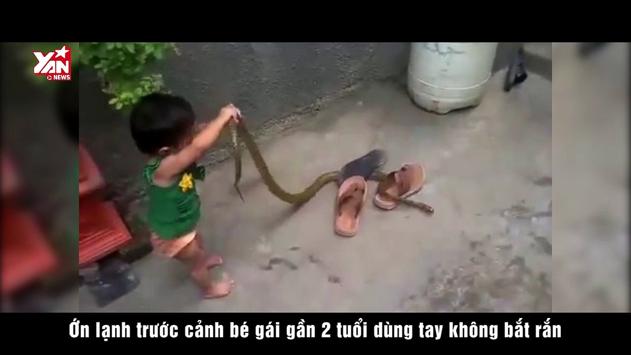 Ớn lạnh trước cảnh bé gái gần 2 tuổi dùng tay không bắt rắn