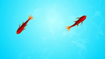 Videos para gatos | Capturando peces