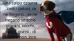 Poesie d'amore, frasi e canzoni  sui cani : 