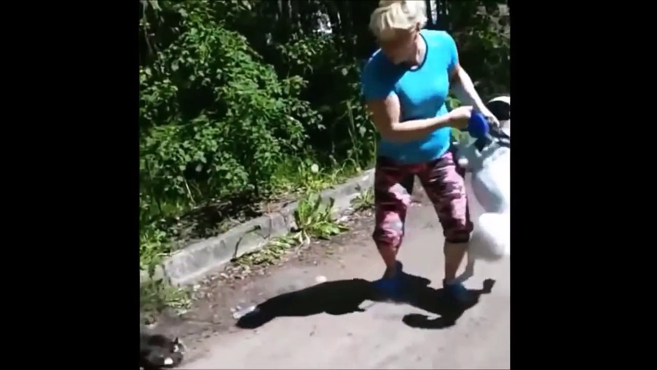 Most BadAss CATS Compilation MUST Watch!