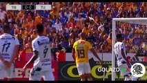 Tigres UANL vs Xolos de Tijuana 1-0 - Gol & Resumen - Liga MX (J2) AP 2018 - 29_07_2018 - HD