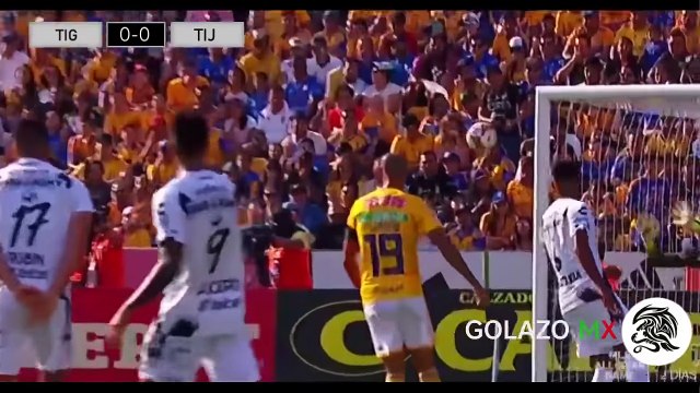 Tigres UANL vs Xolos de Tijuana 1-0 - Gol & Resumen - Liga MX (J2) AP 2018 - 29_07_2018 - HD