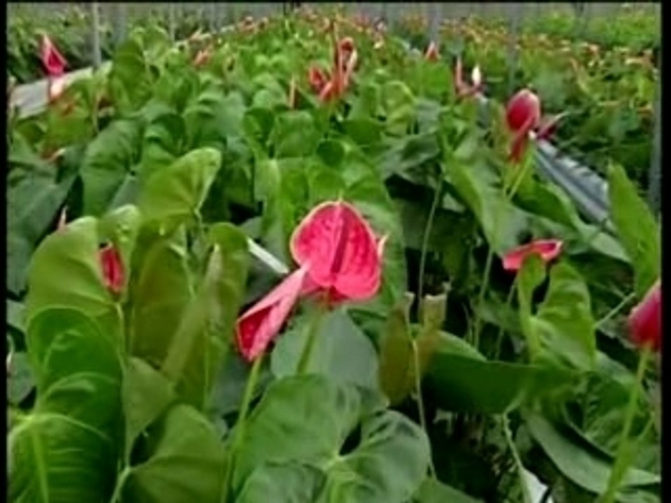 Intelligence Economique 7 par TVT - Conclusion